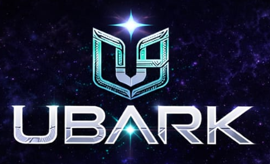 UBARK EFICIENT E-COMENCE